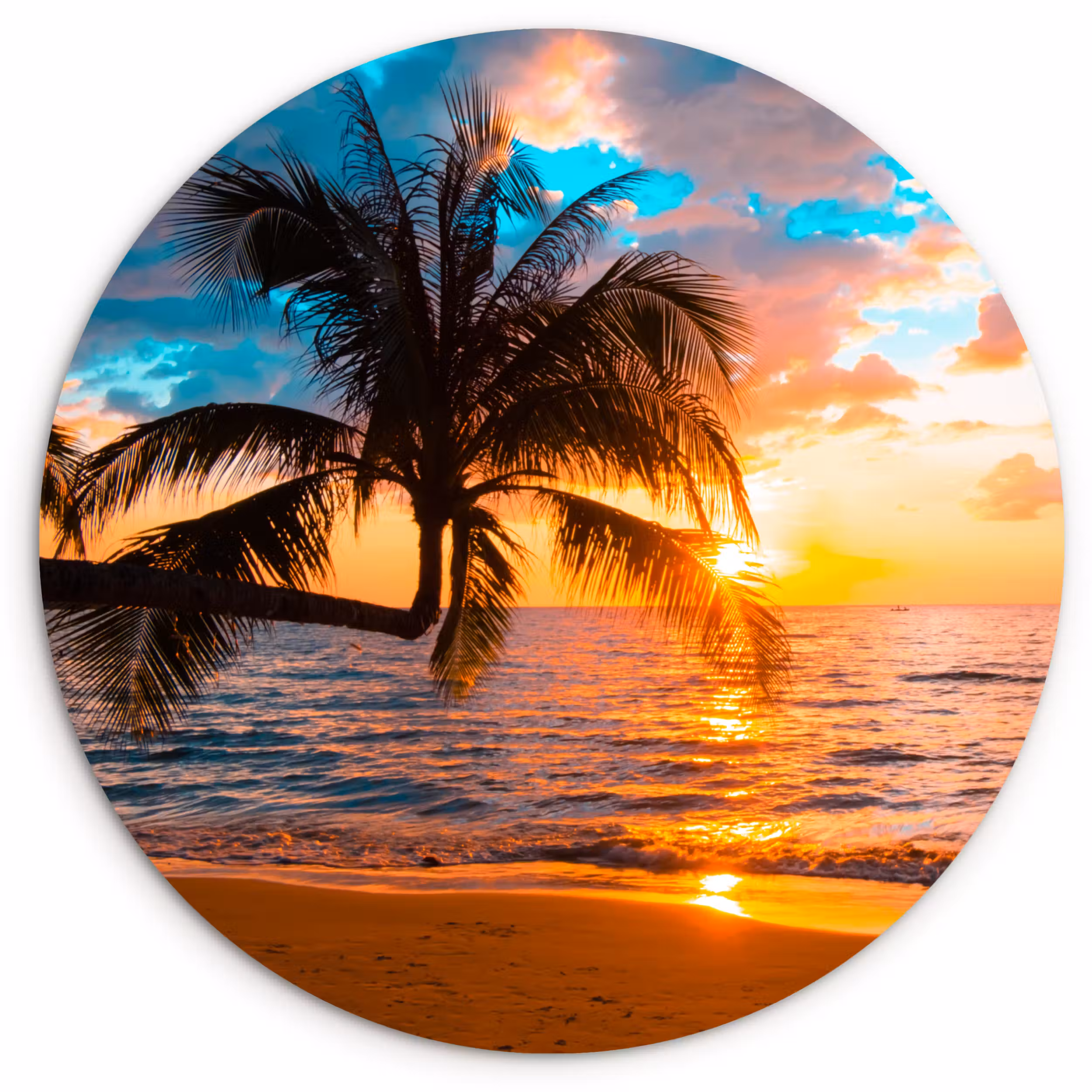 Muurcirkel - Palm - Zonsondergang - Horizon - Strand - Zee - Tropisch