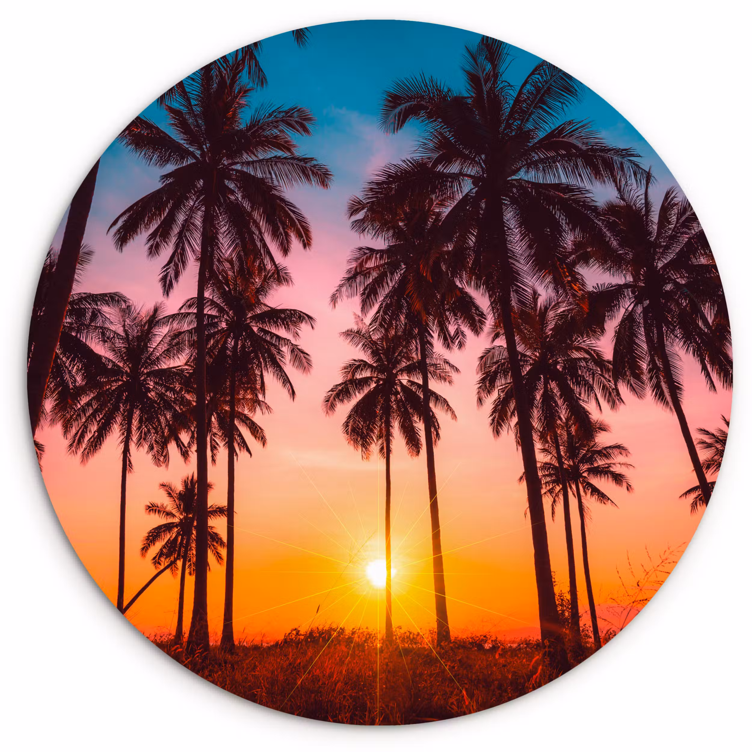 Muurcirkel - Palmboom - Zonsondergang - Horizon - Strand - Oranje - Roze