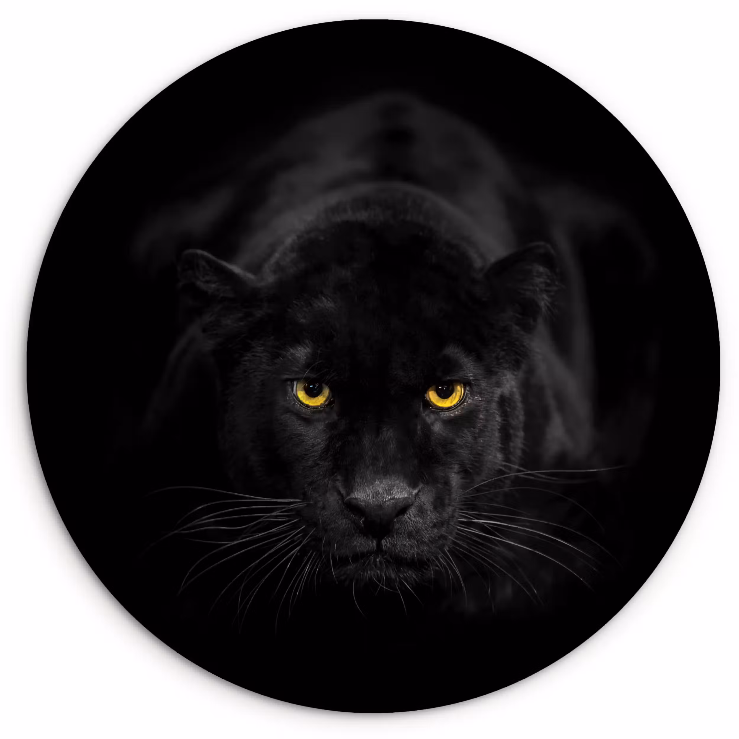 Muurcirkel - Panter - Dieren - Zwart - Ogen