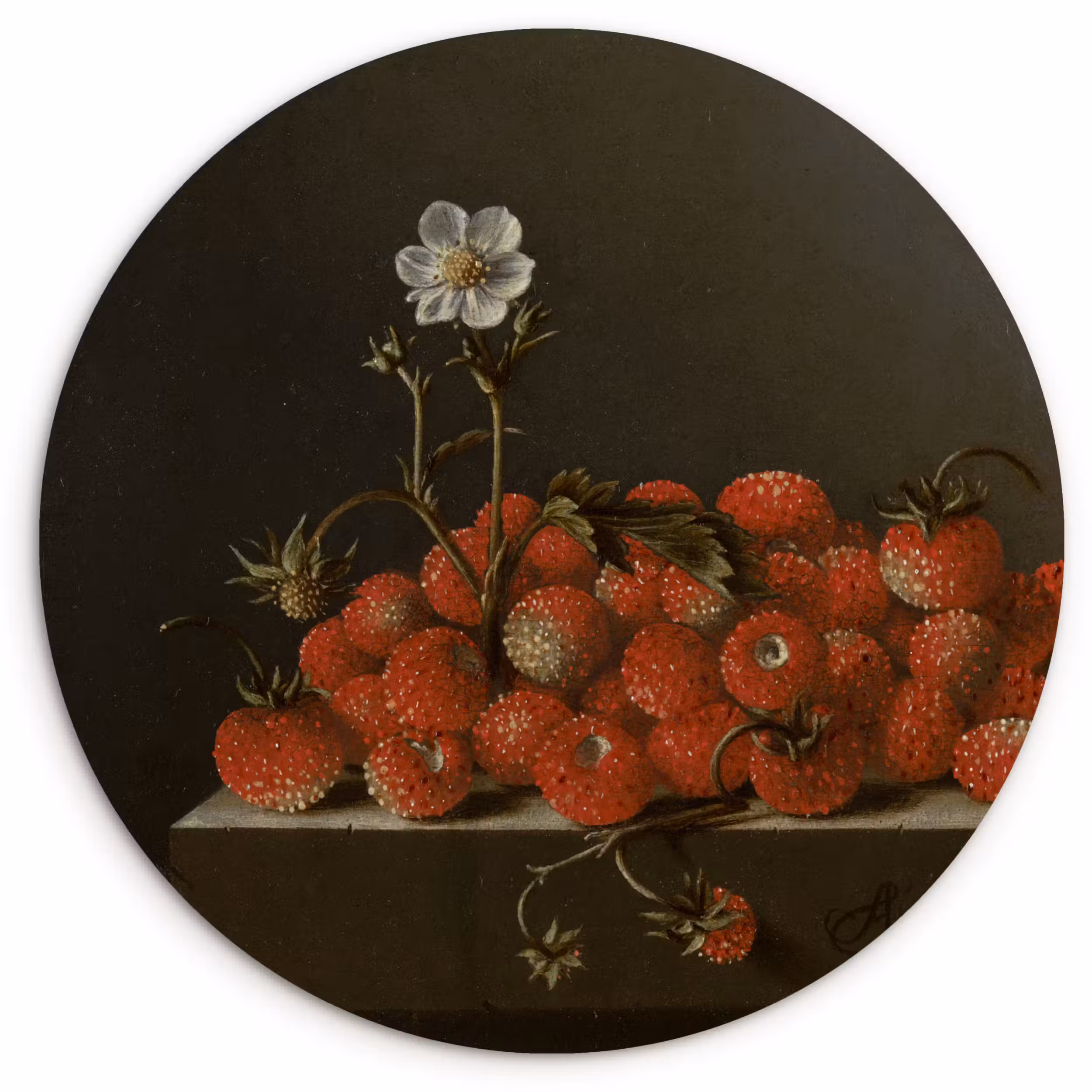 Muurcirkel - Stilleven met bosaardbeien - Schilderij van Adriaen Coorte