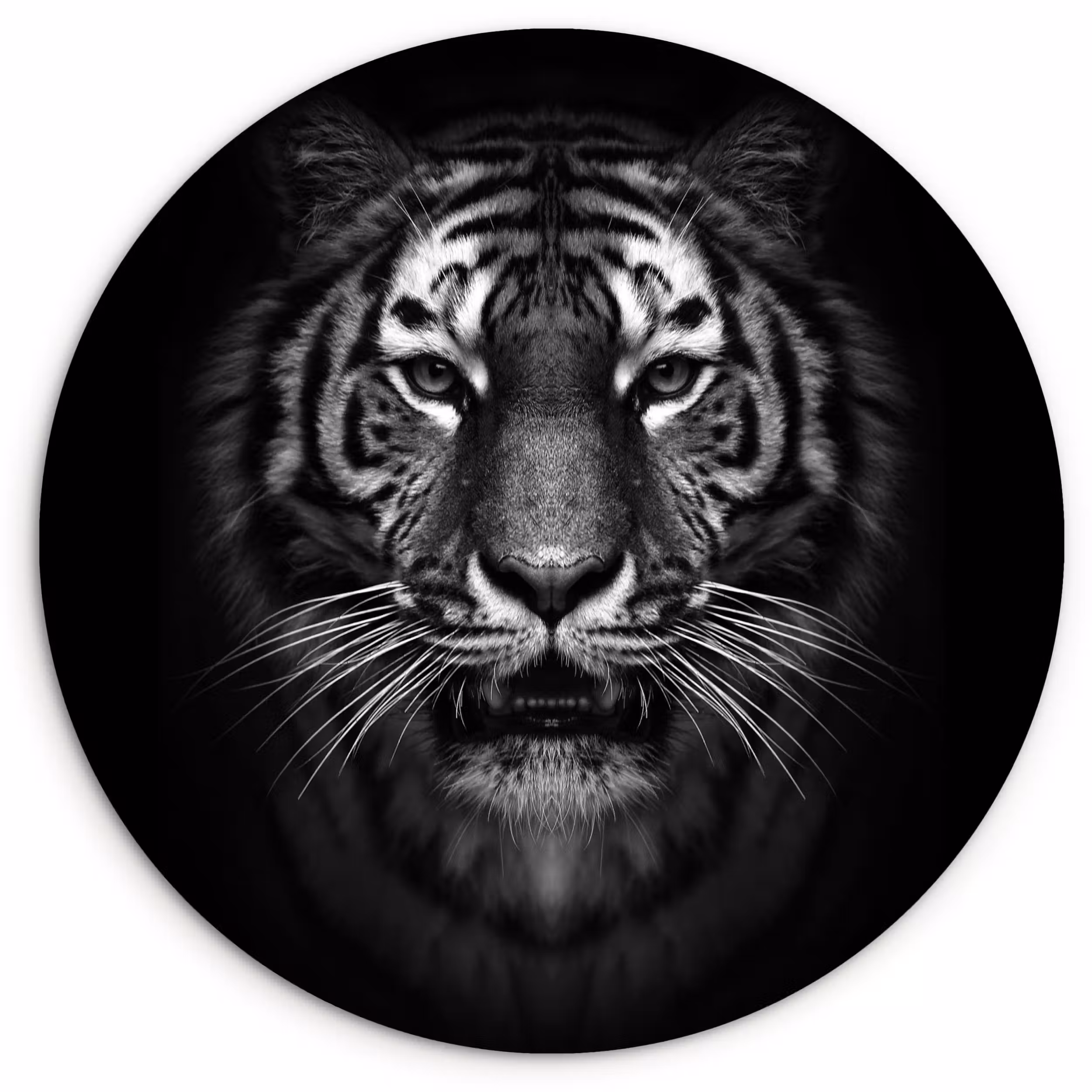 Muurcirkel - Tijger - Dieren - Zwart - Wit - Portret - Wild