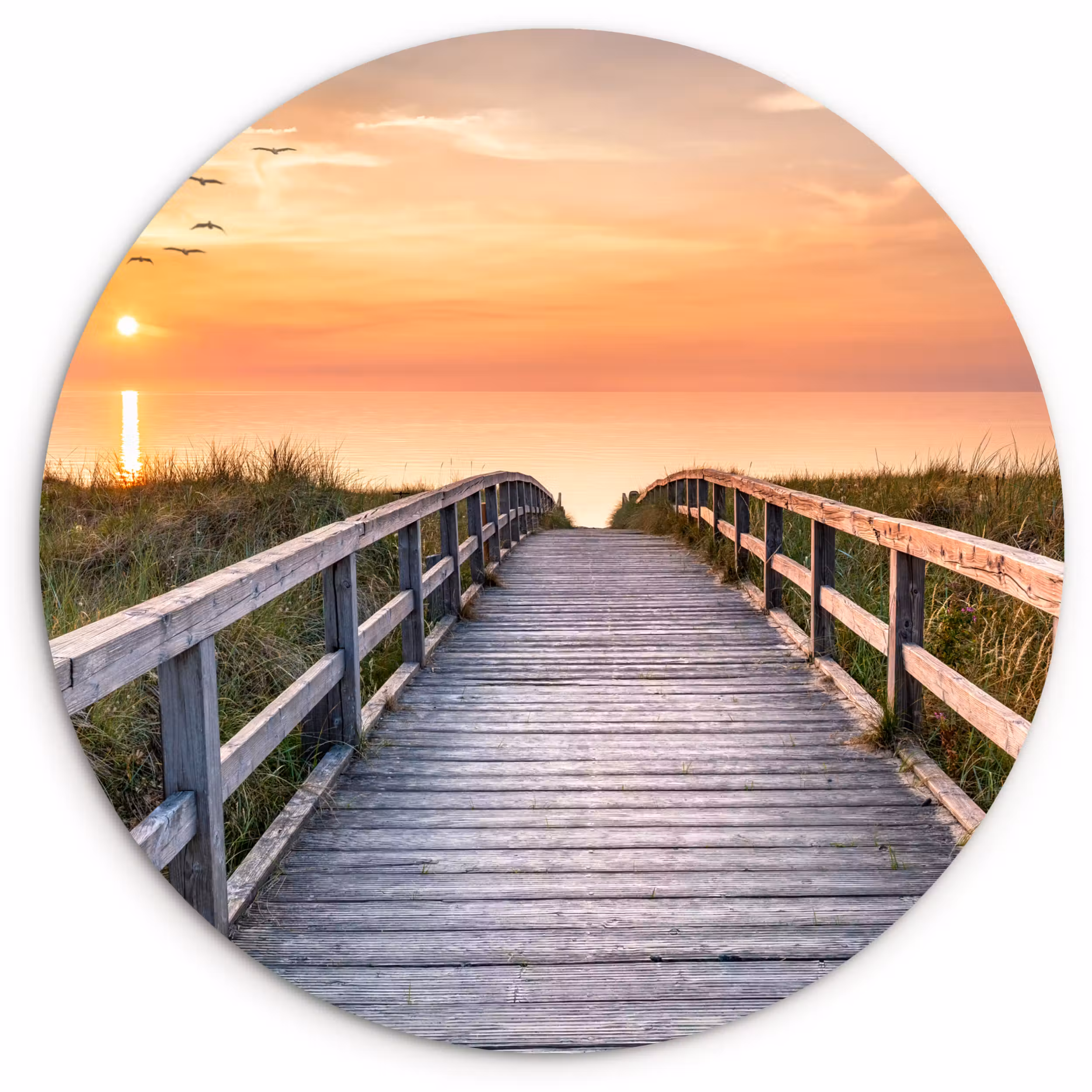 Muurcirkel - Zonsonderang - Zee - Pad - Gras - Duin - Vogels