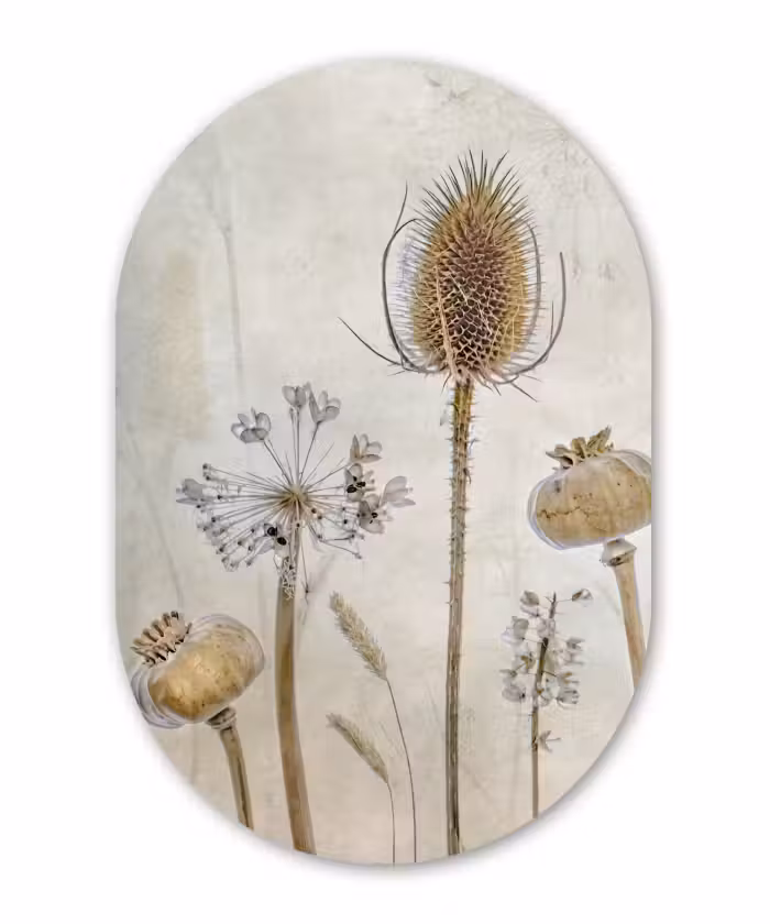 Muurovaal - Bloemen - Waterverf - Stilleven - Bruin - Vintage