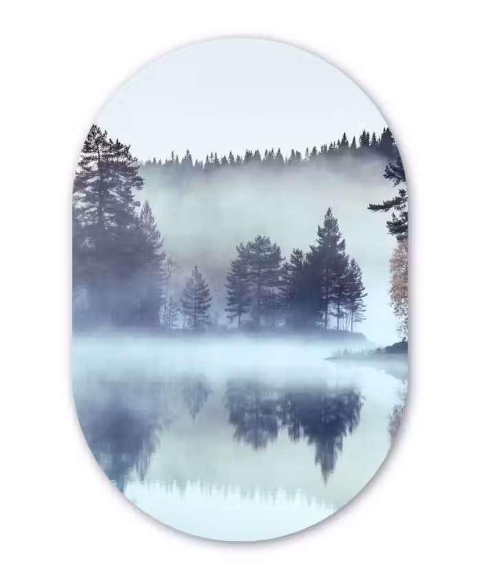 Muurovaal - Bos - Mist - Winter