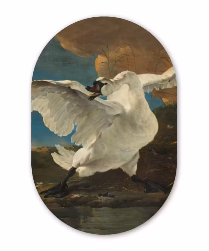 Muurovaal - De bedreigde zwaan - Schilderij van Jan Asselijn
