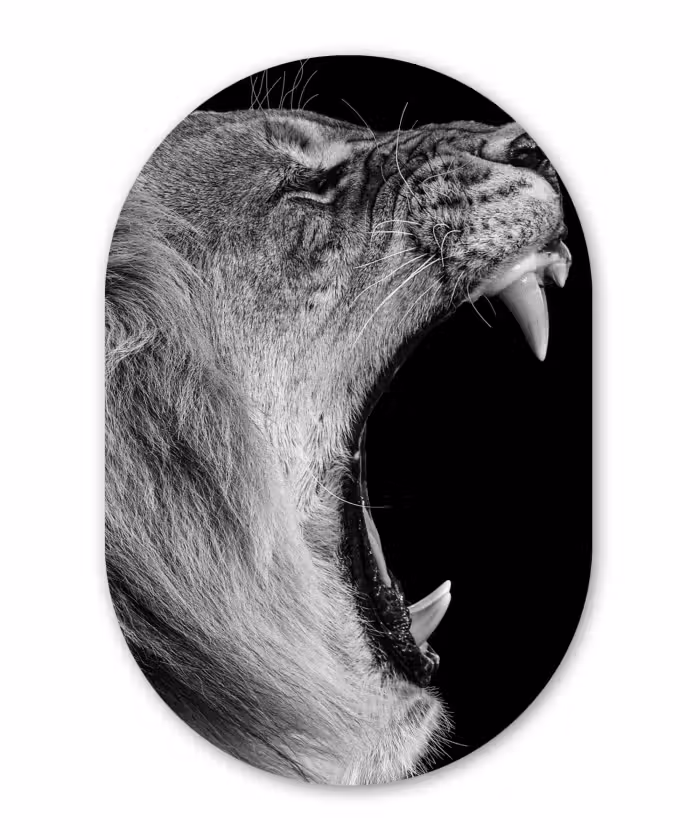 Muurovaal - Dieren - Leeuw - Zwart - Wit - Portret