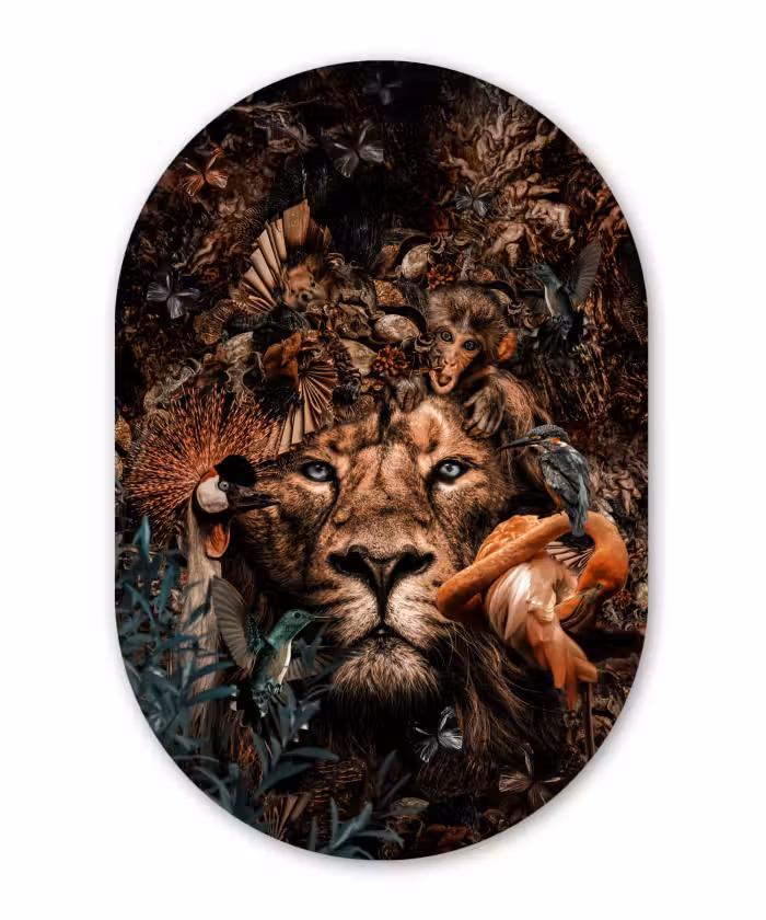 Muurovaal - Dieren - Luxe - Collage - Leeuw - Aap - Vogels