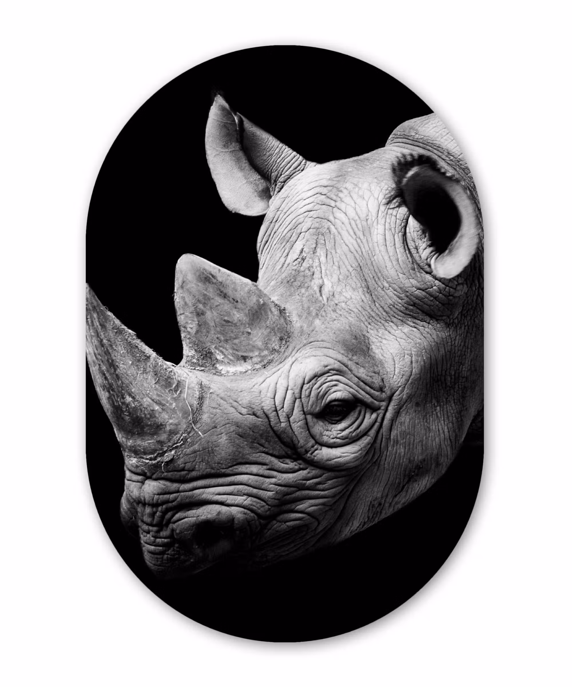 Muurovaal - Dieren - Neushoorn - Zwart - Wit - Portret