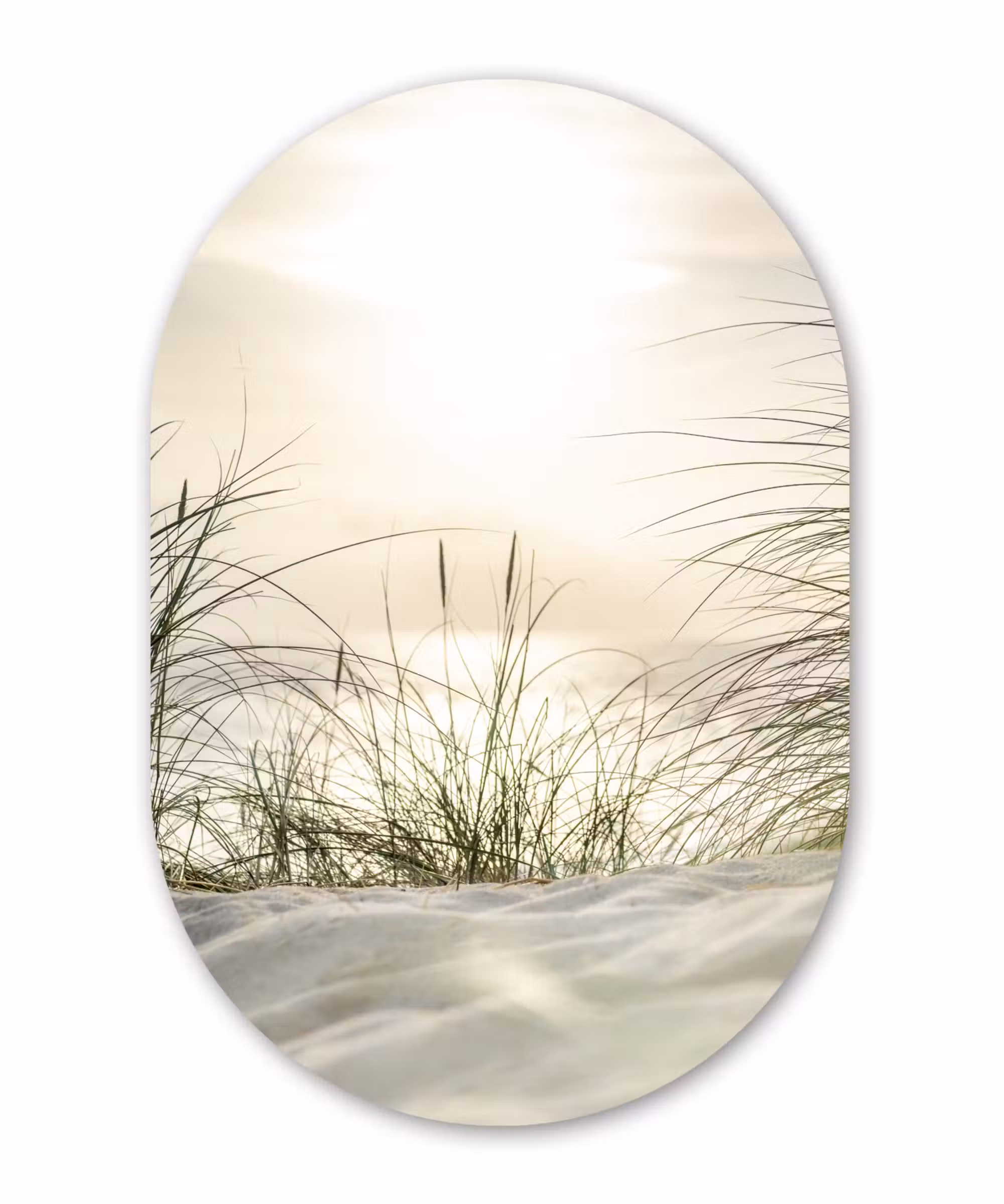 Muurovaal - Duinen aan de Waddenzee