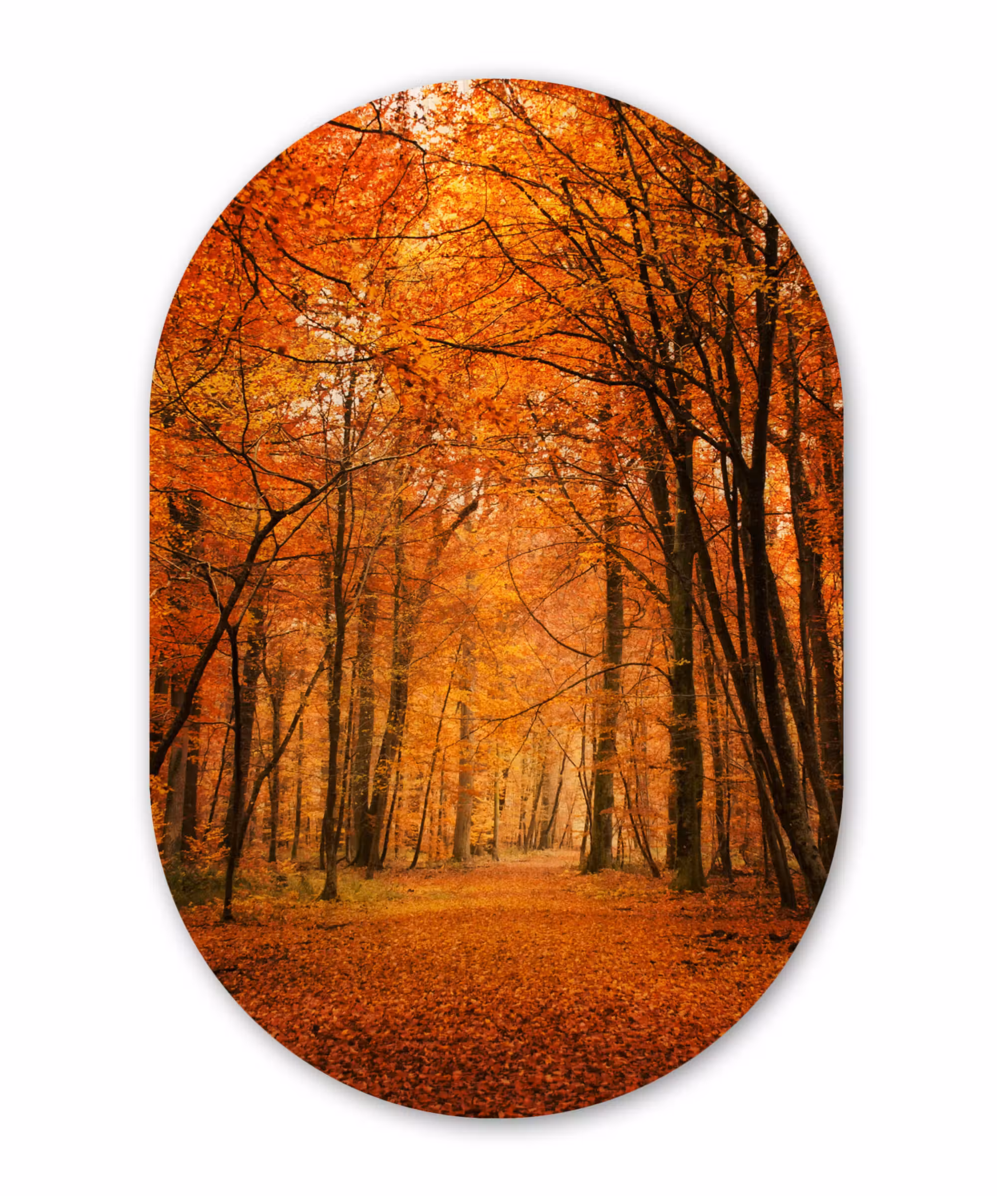Muurovaal - Herfst - Rood - Bos