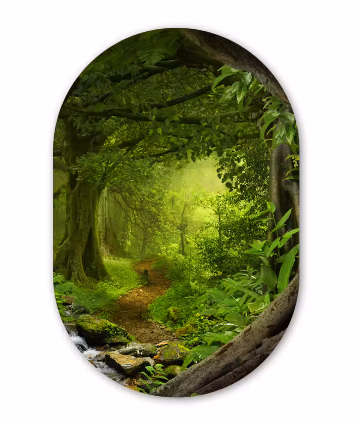Muurovaal - Jungle - Groen - Natuur - Tropisch - Planten