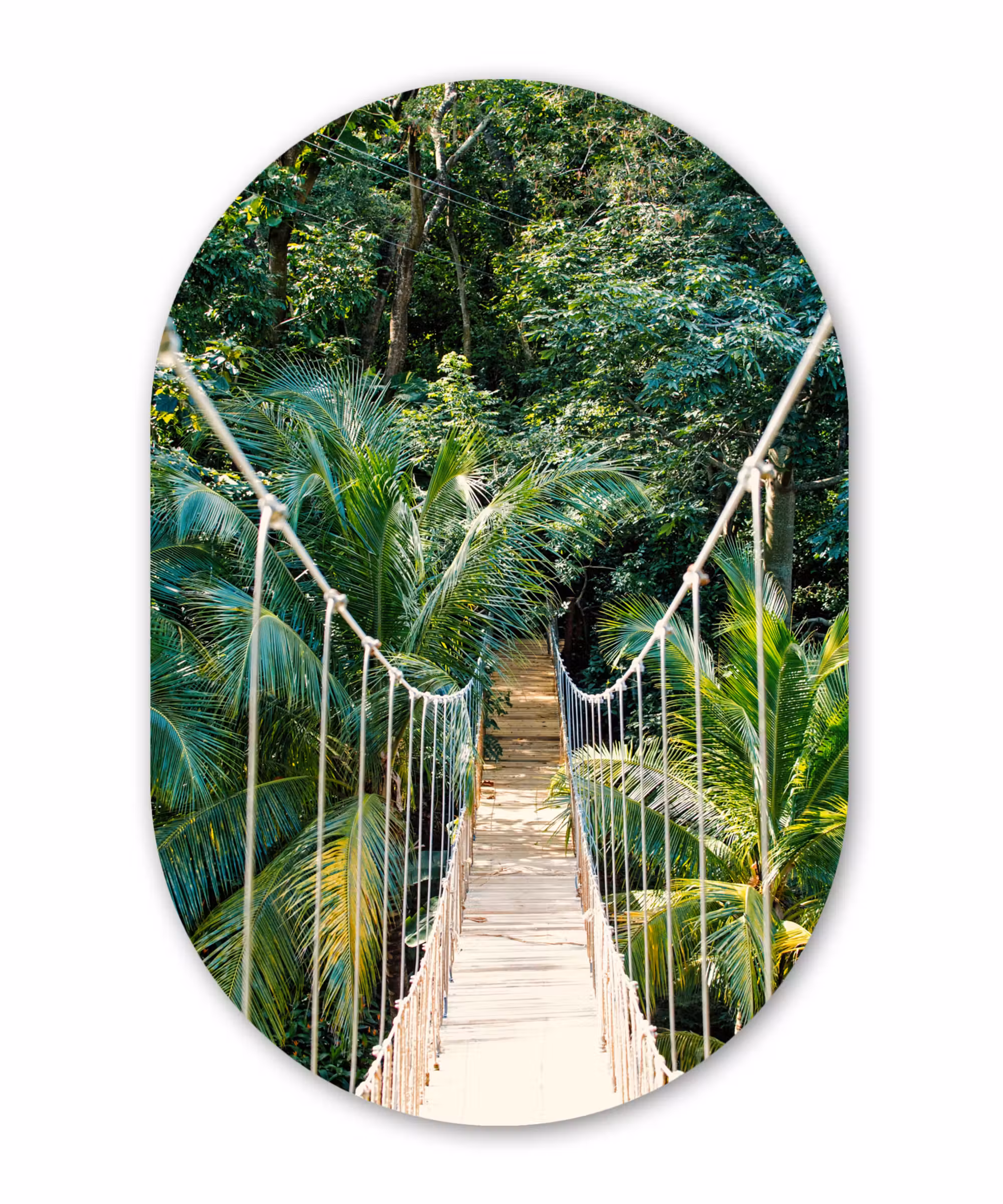 Muurovaal - Jungle - Palmboom - Brug - Natuur - Planten