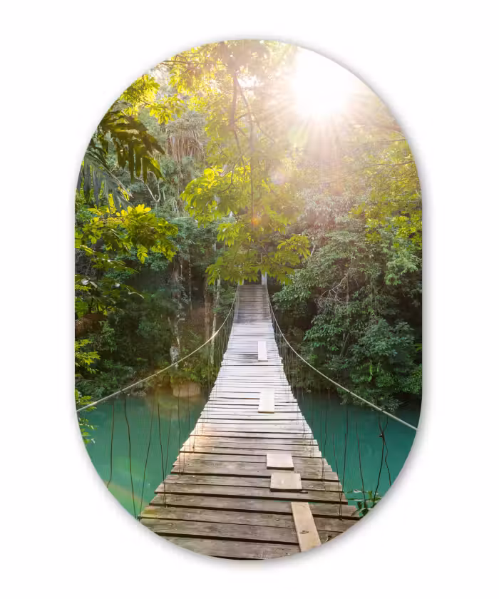 Muurovaal - Jungle - Water - Brug - Natuur - Planten
