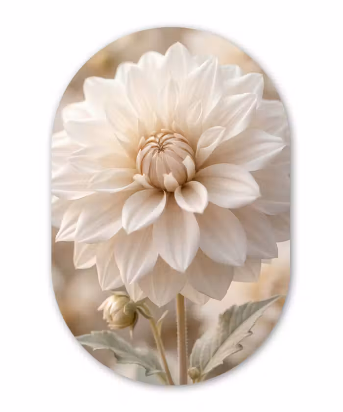 Muurovaal - Kunststof - Bloem - Dahlia - Wit