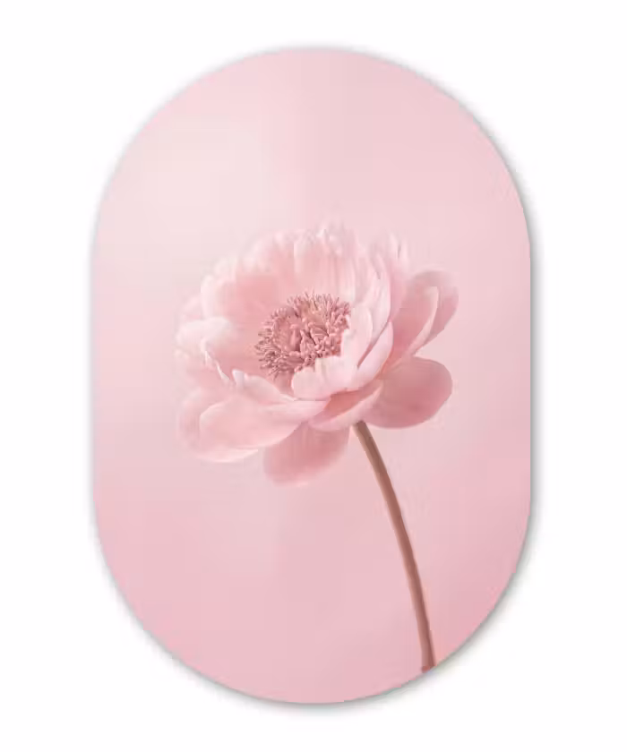 Muurovaal - Kunststof - Bloem - Pioenroos - Roze