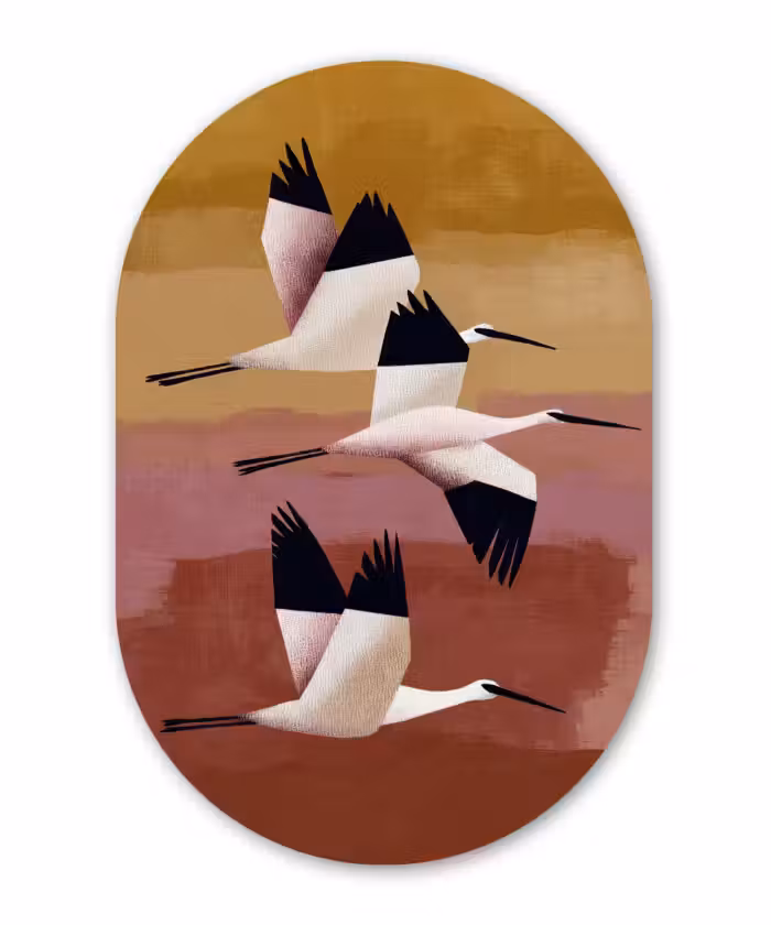 Muurovaal - Kunststof - Vogels - Snavel - Abstract