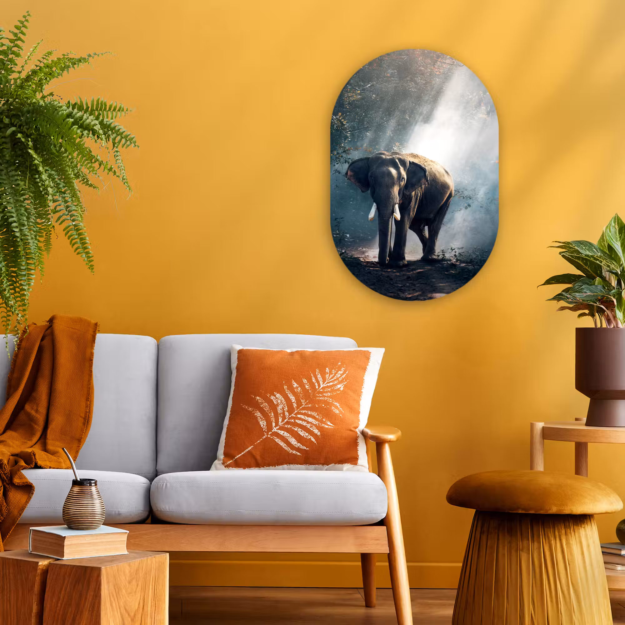 Muurovaal - Olifant - Dieren - Licht - Bos - Natuur - Wilde dieren