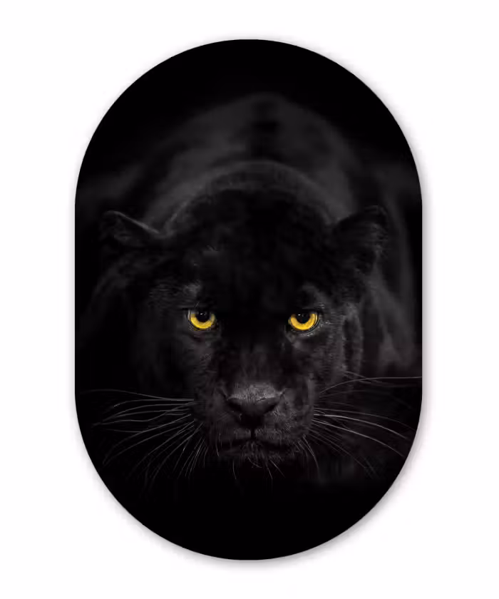 Muurovaal - Panter - Dieren - Zwart - Ogen