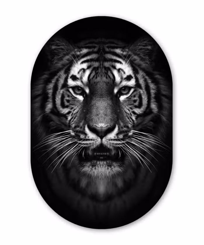 Muurovaal - Tijger - Dieren - Zwart - Wit - Portret - Wild