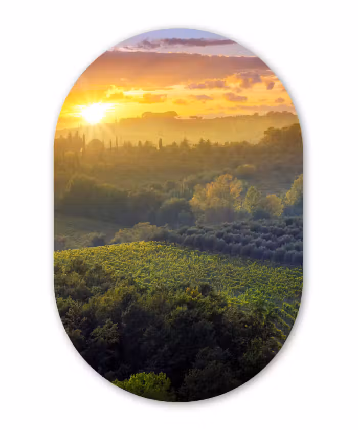Muurovaal - Kunststof - Toscane - Landschap - Zon