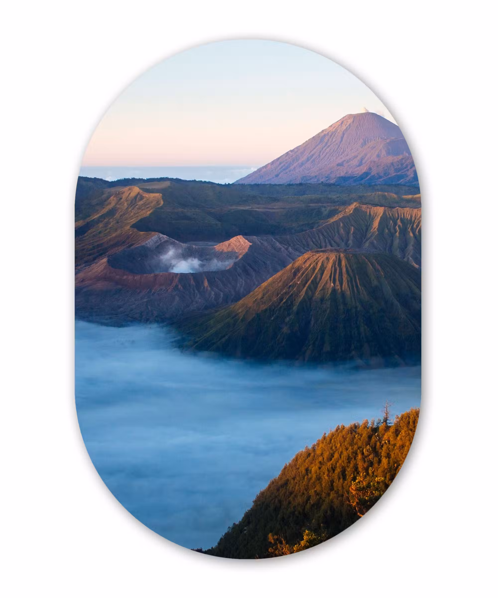 Muurovaal - Vulkaan - Natuur - Mist