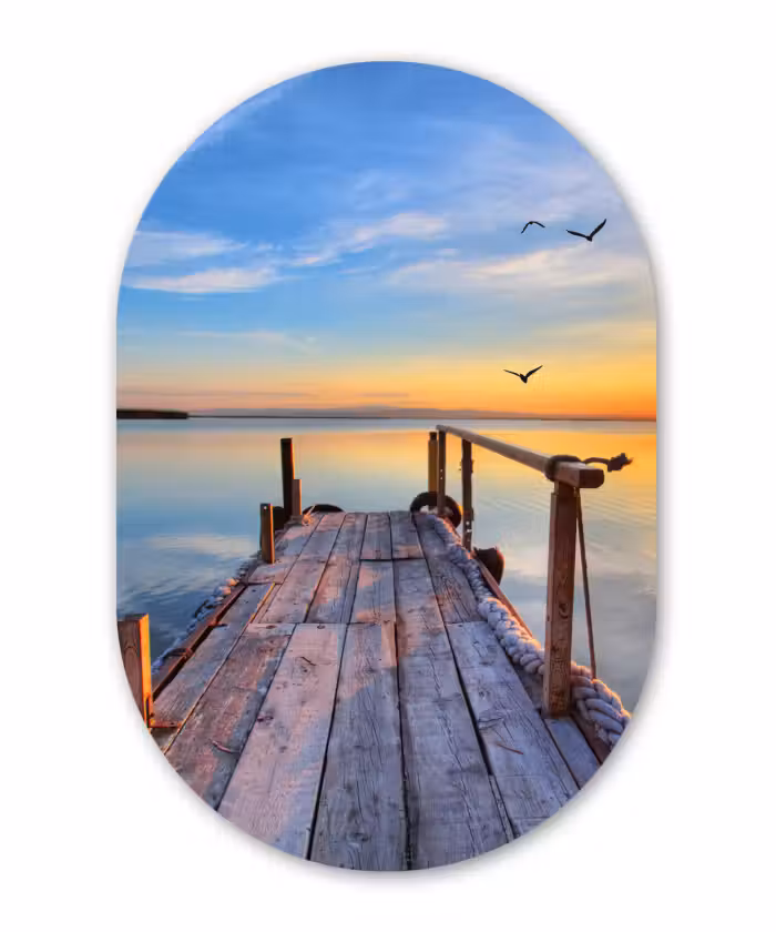 Muurovaal - Water - Steiger - Vogels - Zonsondergang - Horizon