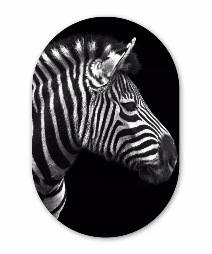 Muurovaal - Zebra - Zwart - Wit - Portret - Dieren