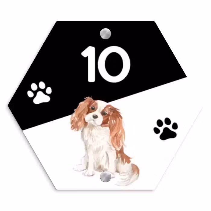 Naambordje voordeur - Hexagon - Zwart wit - Huisdier - Cavalier King Charles Spaniël