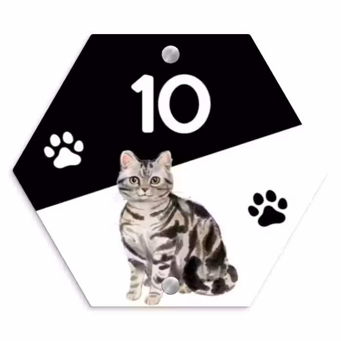 Naambordje voordeur - Hexagon - Zwart wit - Huisdier - Zilvergrijs gestreepte kat