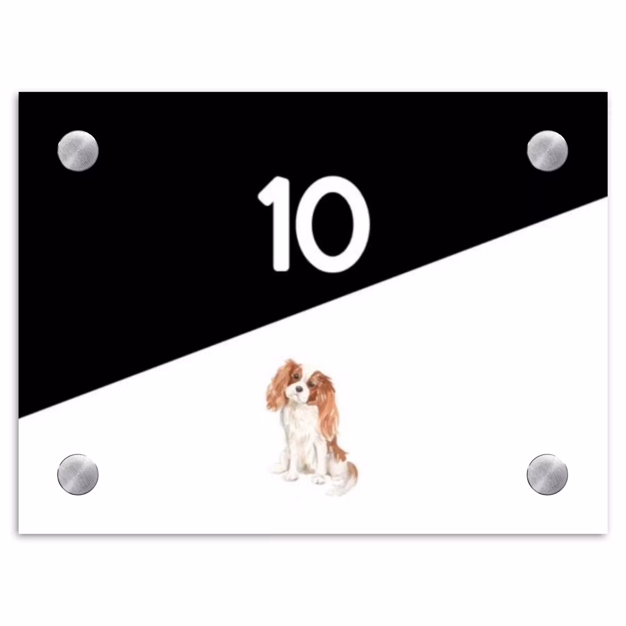 Naambordje voordeur - Rechthoek - Zwart wit - Huisdier - Cavalier King Charles Spaniël
