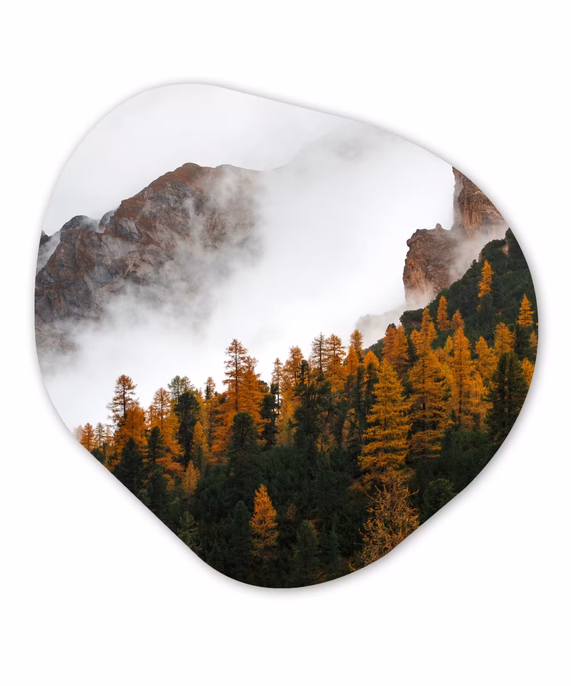 Organische Formen – Aluminium – Berg - Mist - Bos