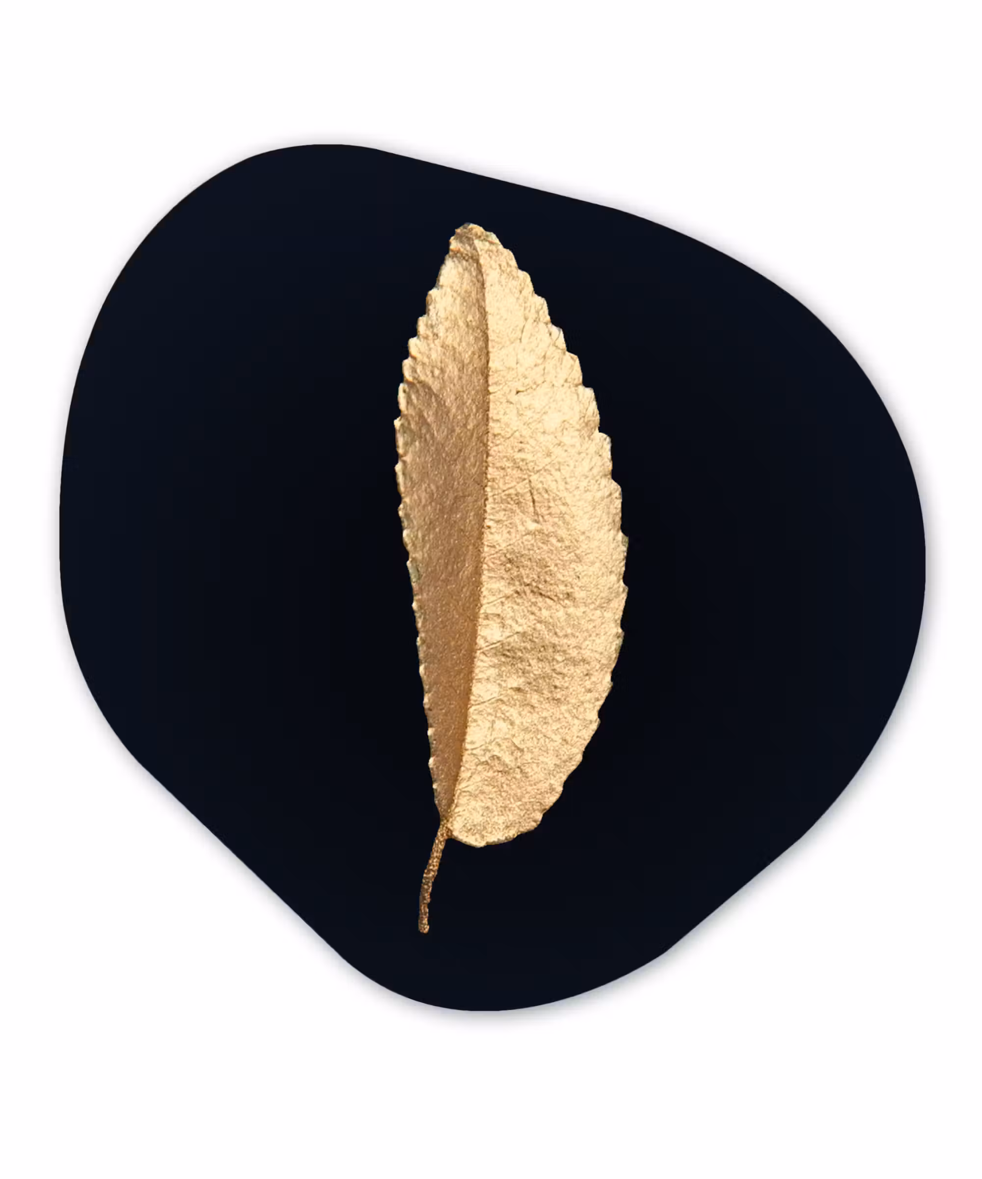 Organische Formen – Aluminium – Bladeren - Black and gold - Luxe - Chic - Natuur