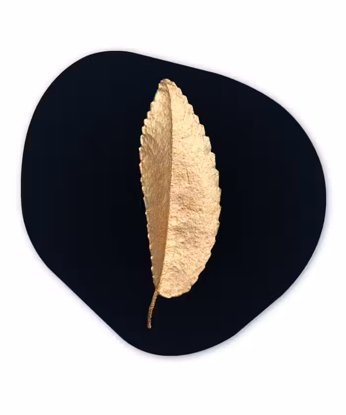 Organische Formen – Aluminium – Bladeren - Black and gold - Luxe - Chic - Natuur