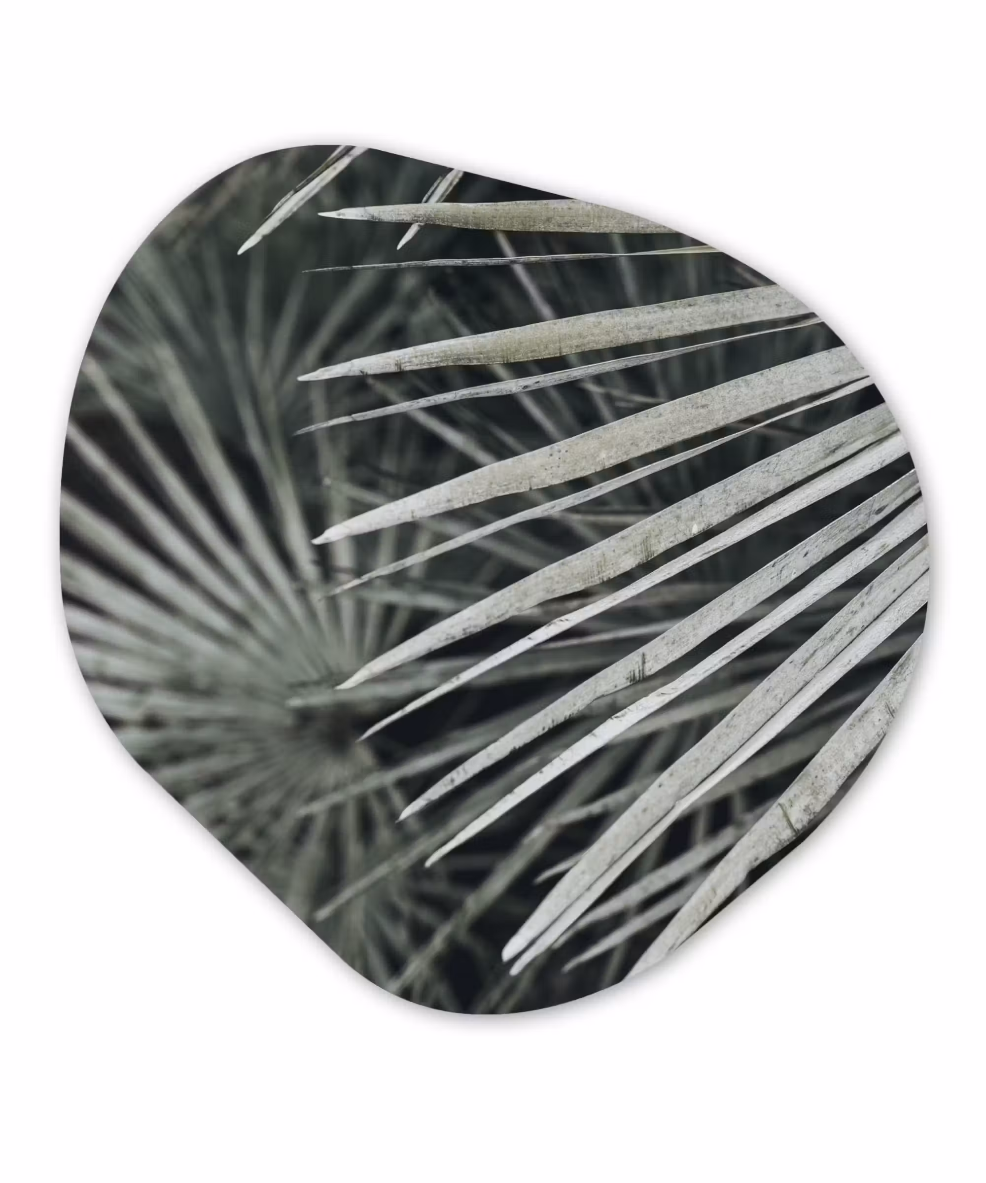 Organische Formen – Aluminium – Bladeren - Groen - Palm