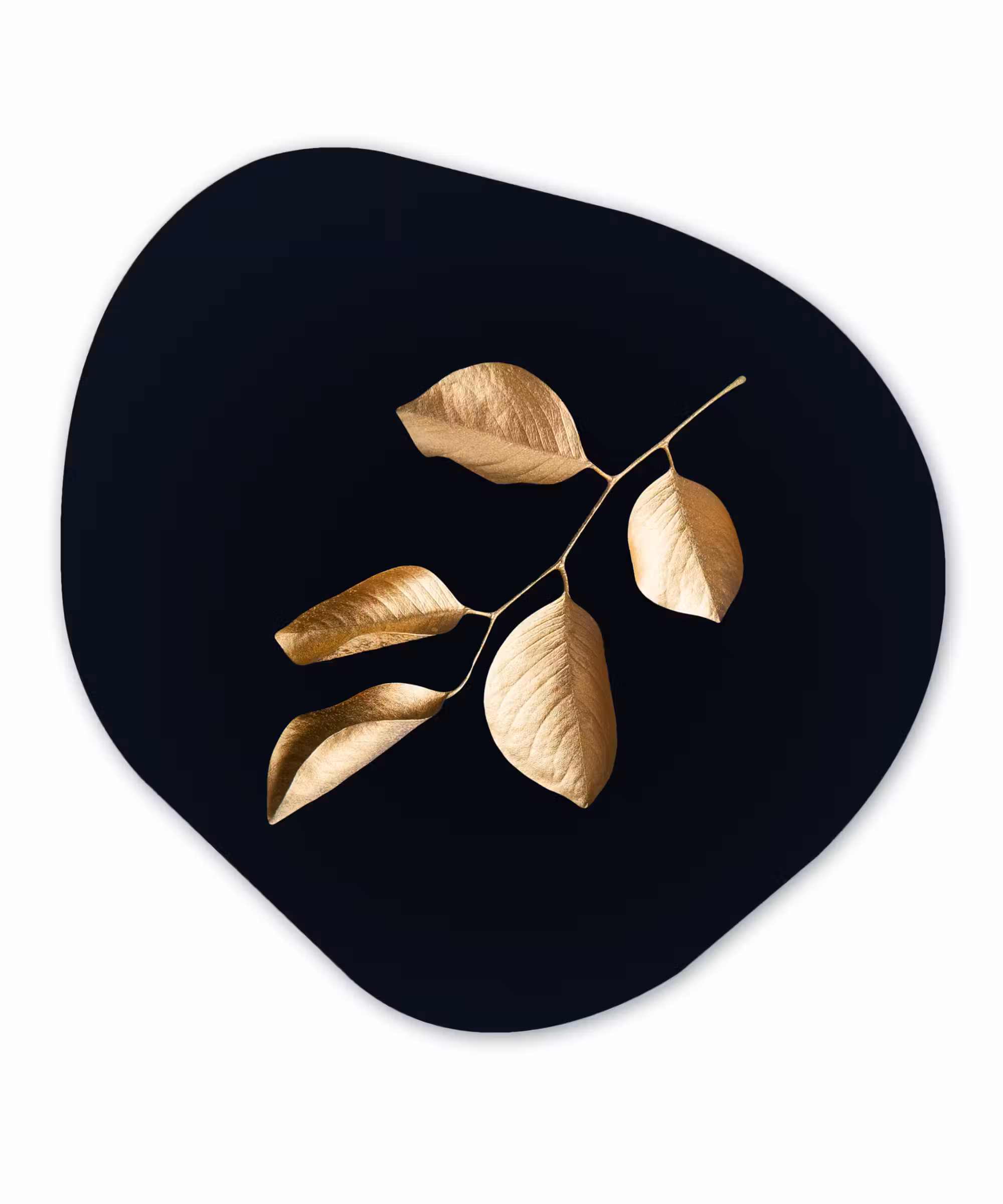 Organische Formen – Aluminium – Bladeren - Tak - Goud - Luxe
