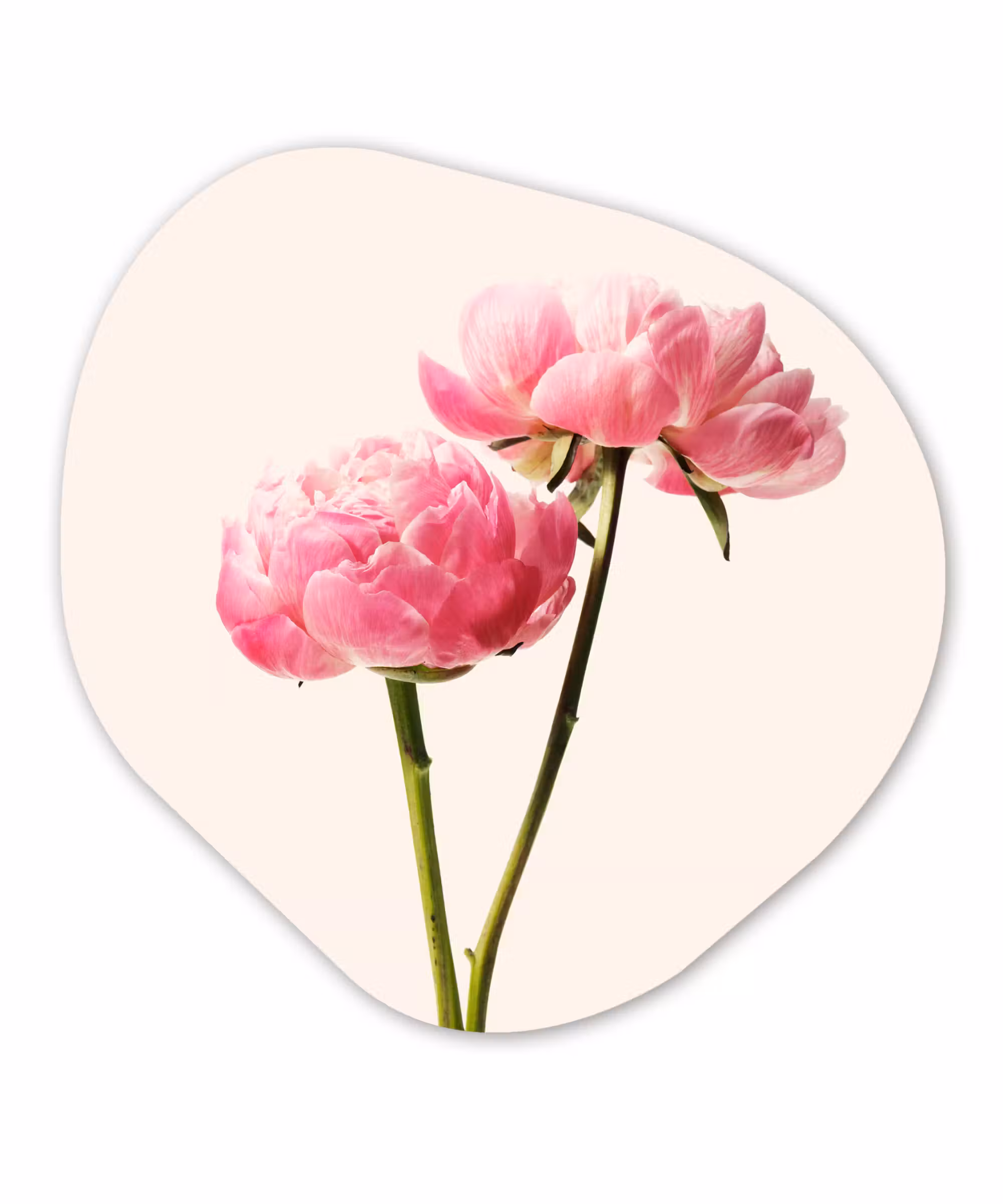 Organische Formen – Aluminium – Bloemen - Bloesem - Roze