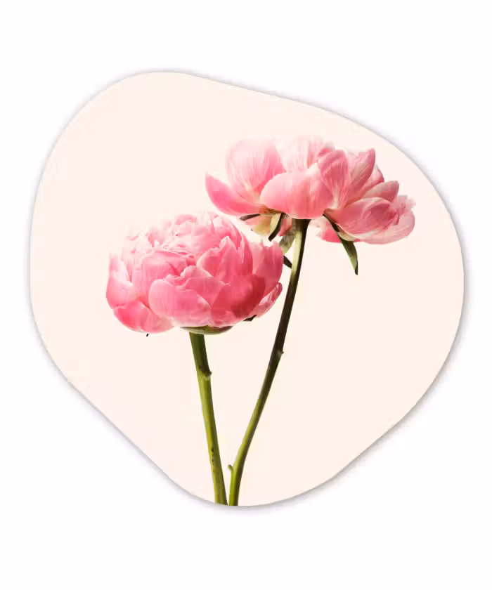 Organische Formen – Aluminium – Bloemen - Bloesem - Roze