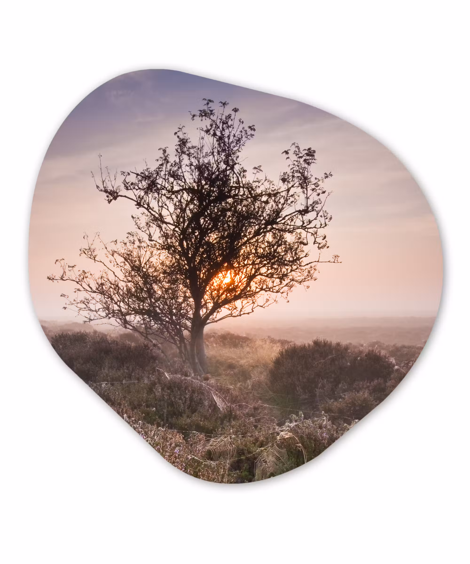 Organische Formen – Aluminium – De heide bij zonsopgang