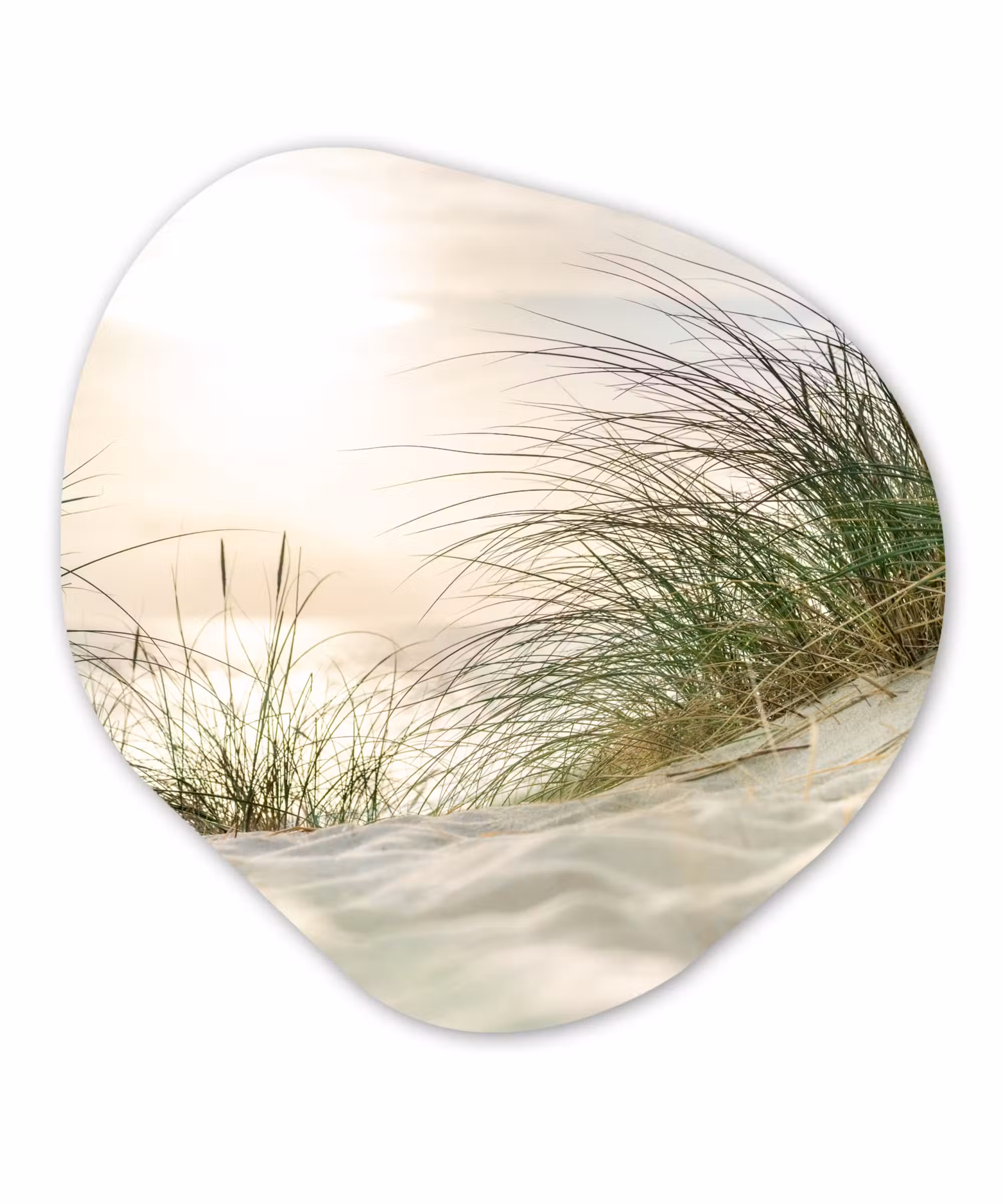 Organische Formen – Aluminium – Duinen aan de Waddenzee