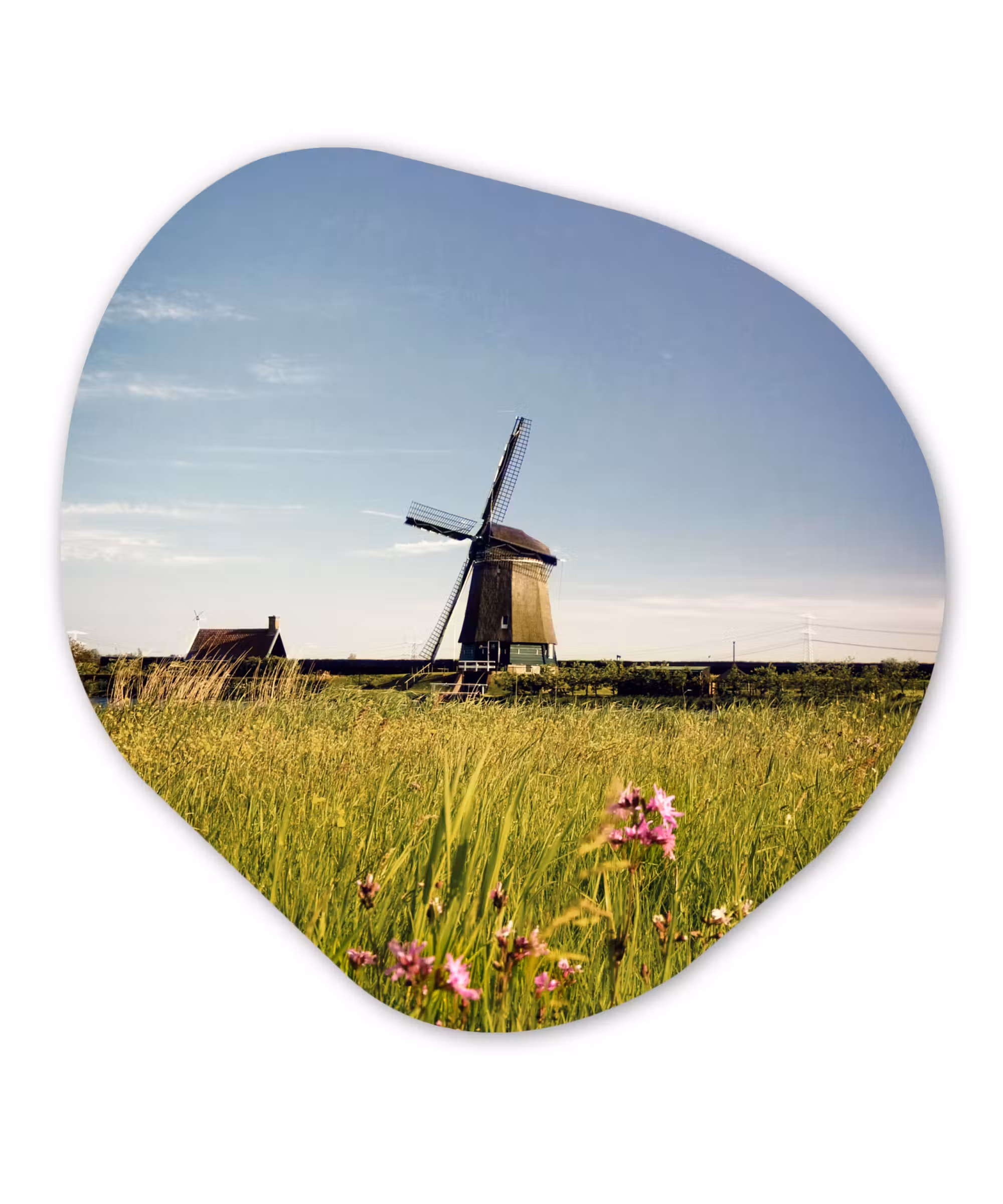 Organische Formen – Aluminium – Een molen met bloemen