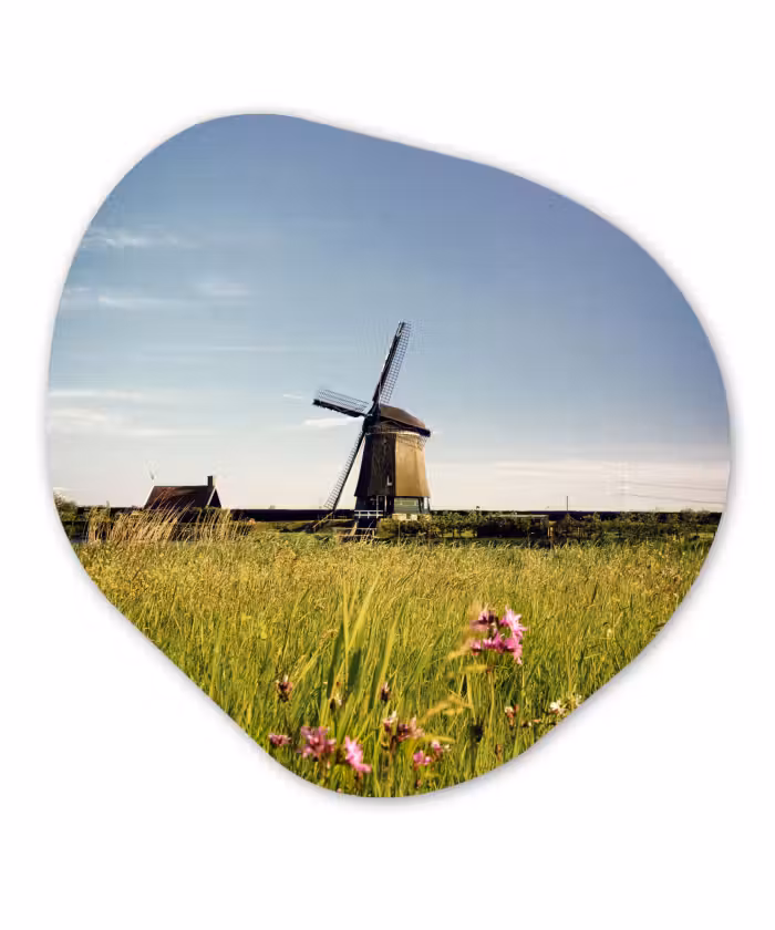 Organische Formen – Aluminium – Een molen met bloemen