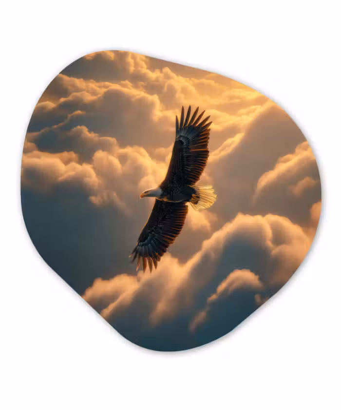 Organisch schilderij - Forex - Adelaar - Wolken - Zon