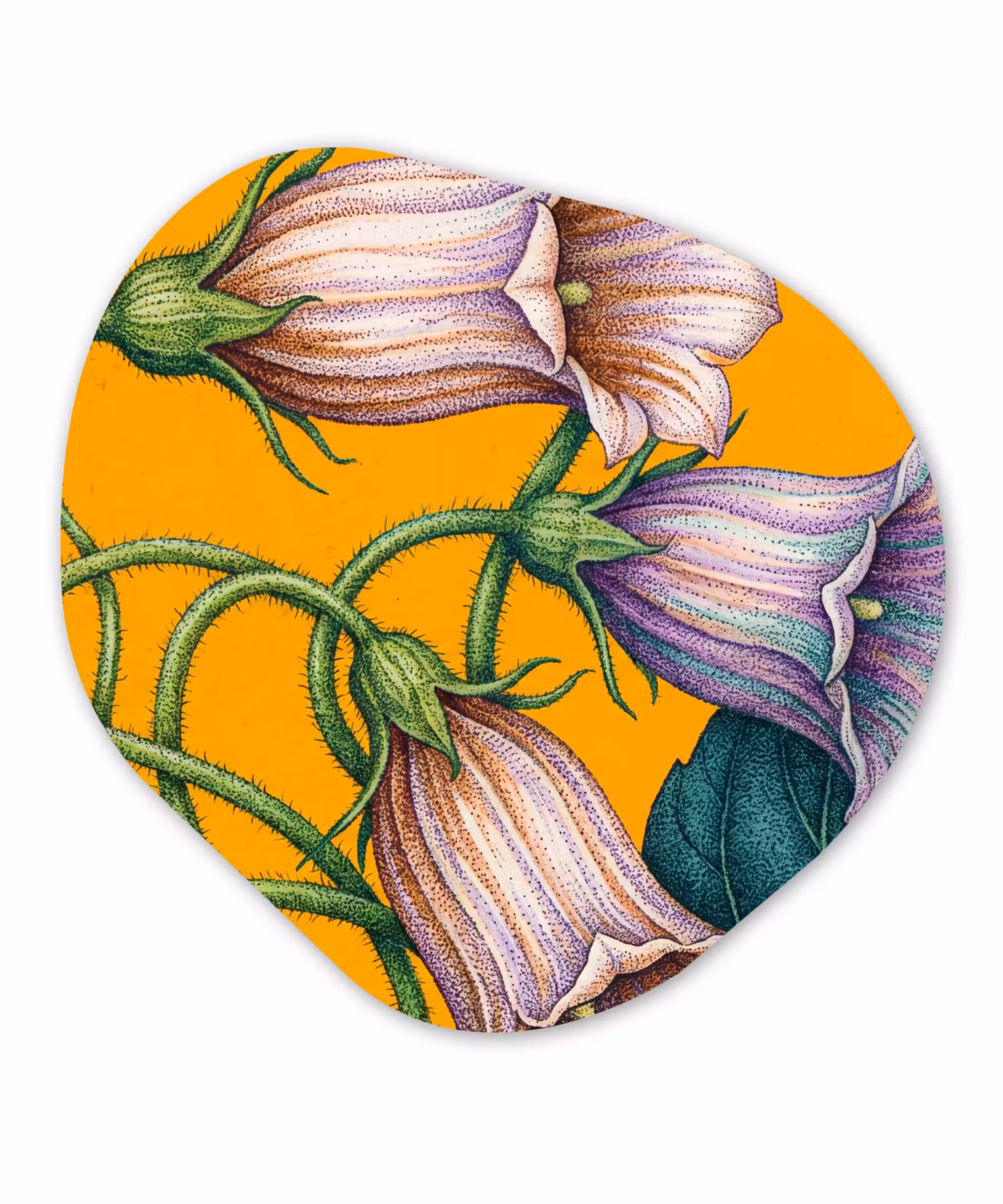 Organisch schilderij - Forex - Bloemen - Botanisch - Geel