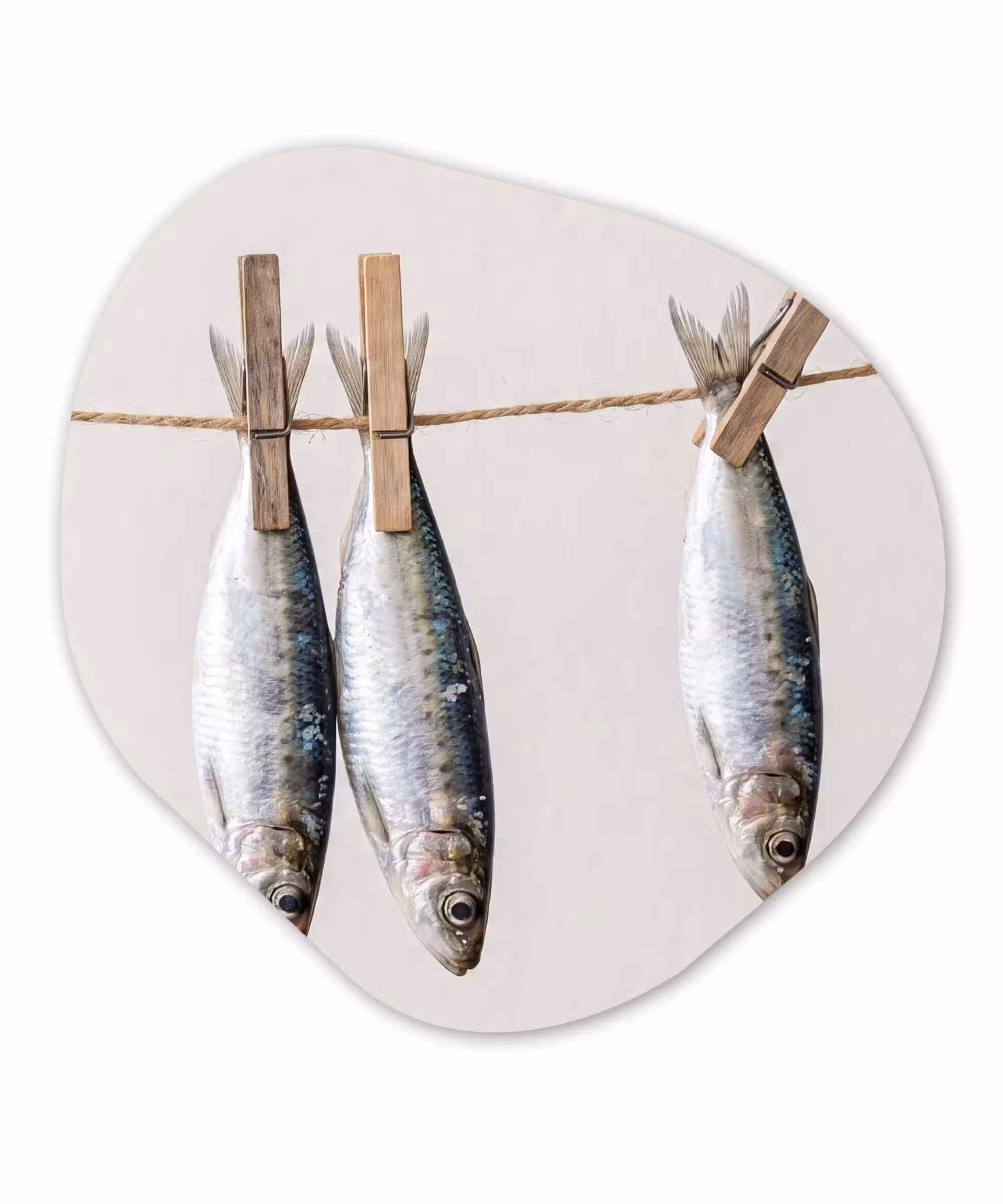 Organisch schilderij - Forex - Vis - Hangend - Eten