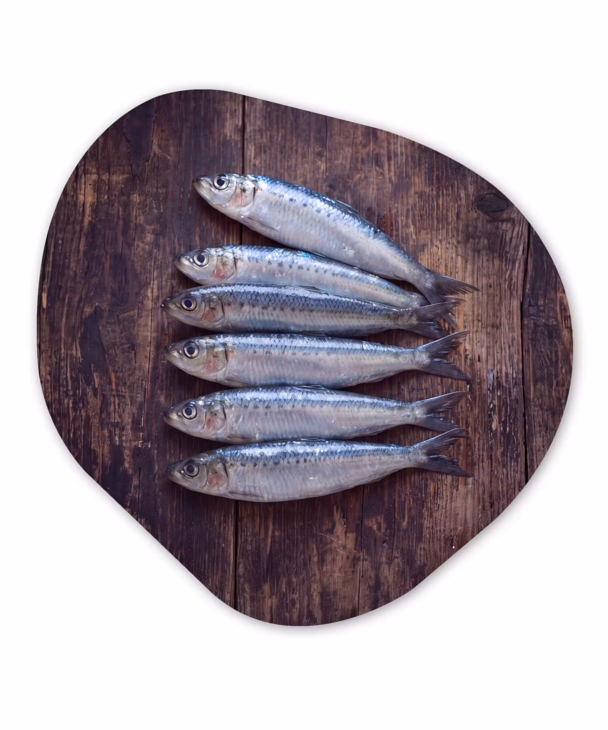Organisch schilderij - Forex - Vis - Hout - Eten