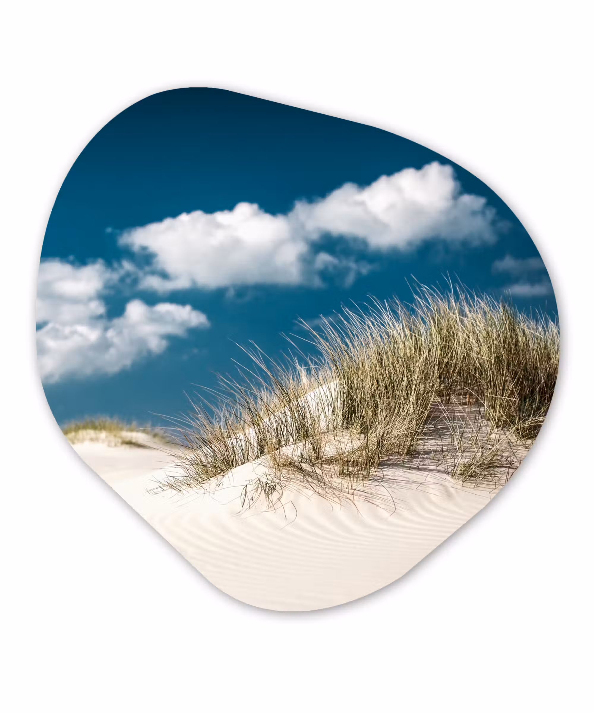 Organische Formen – Aluminium – Grashalmen groeien op de witte zandduinen