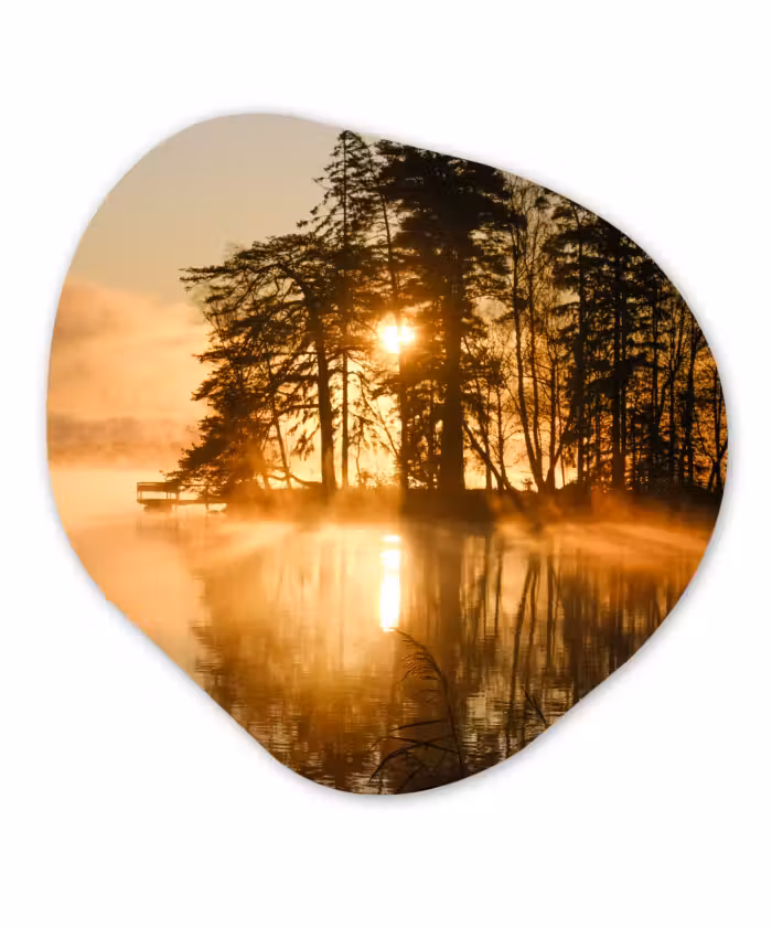 Organische Formen – Aluminium – Herfst - Zon - Water