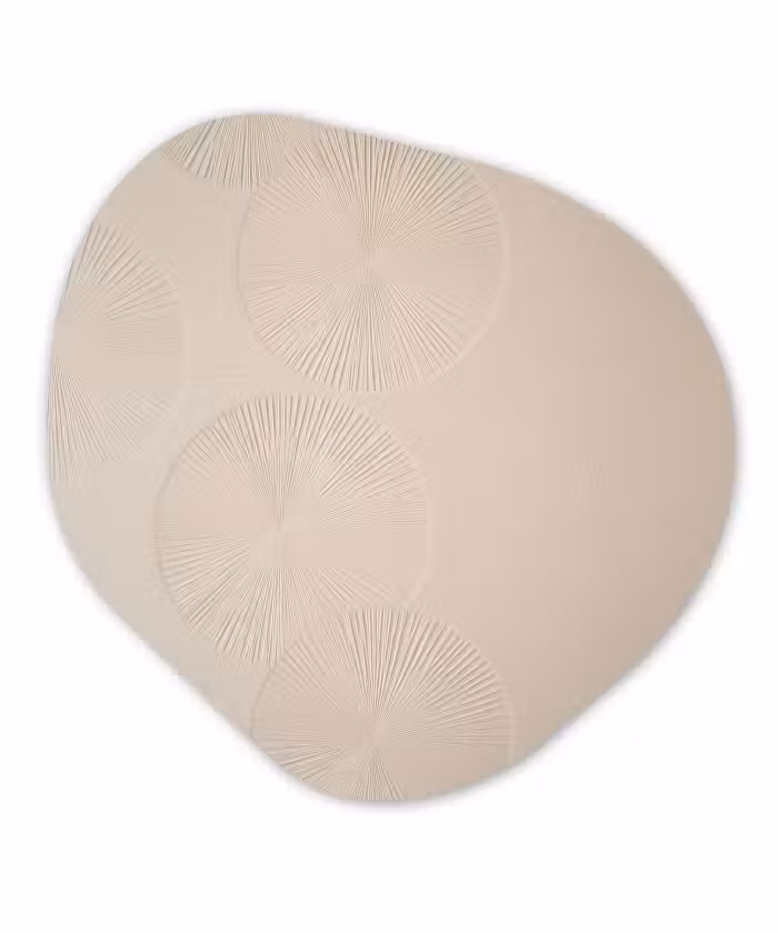 Organisch schilderij – Japandi - Beige - Modern