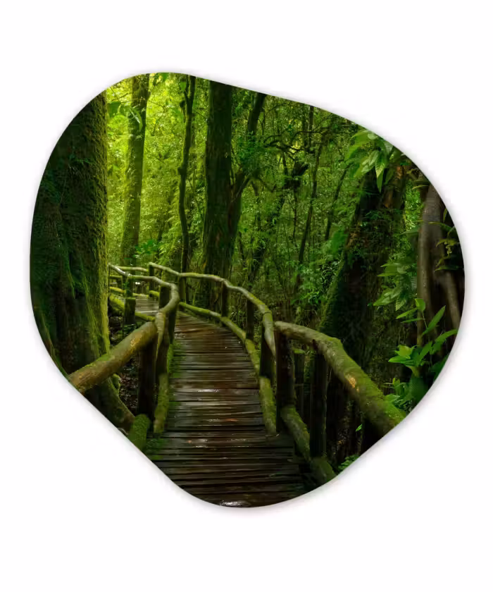 Organische Formen – Aluminium – Jungle - Brug - Mos - Natuur - Tropisch
