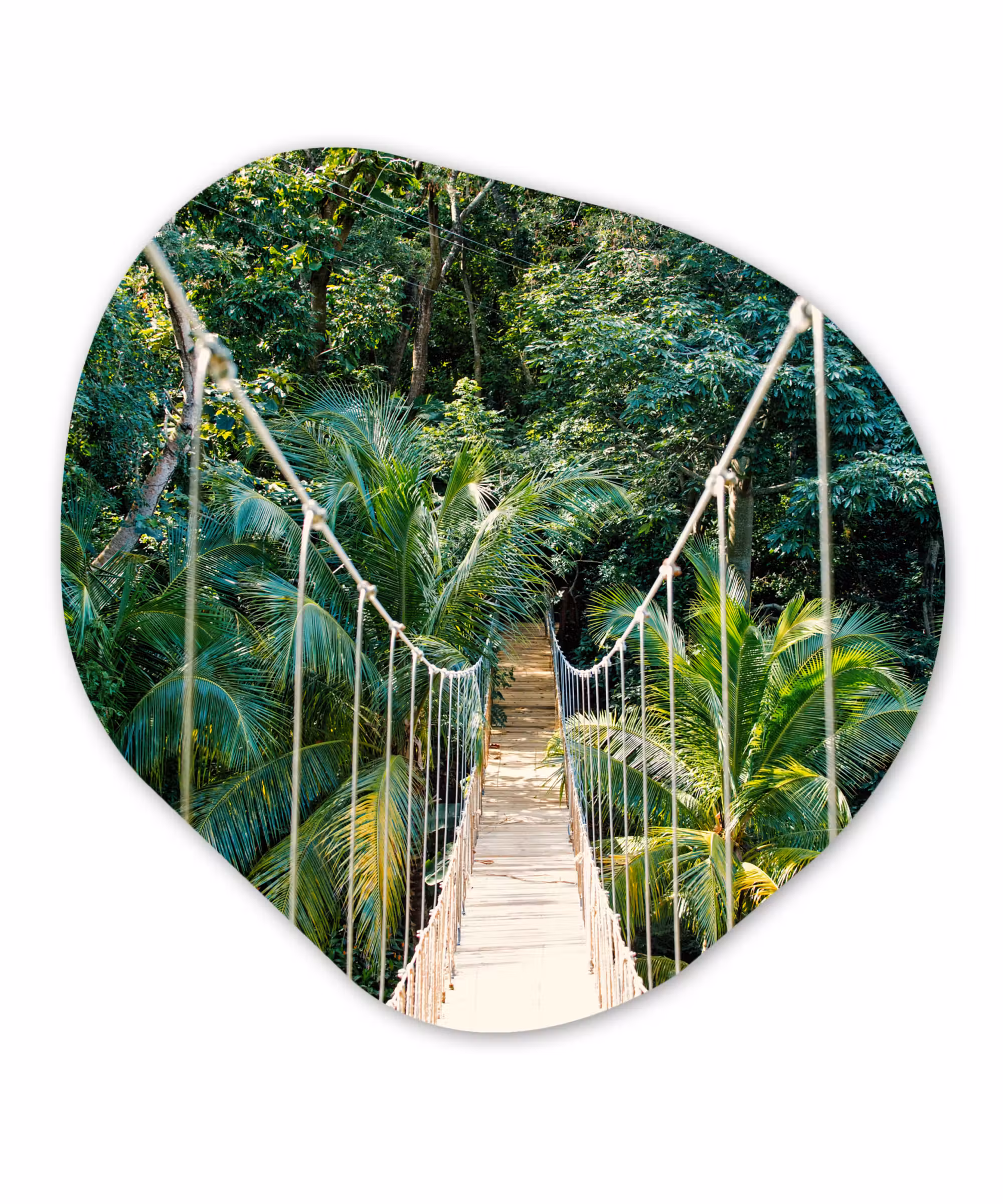 Organische Formen – Aluminium – Jungle - Palmboom - Brug - Natuur - Planten